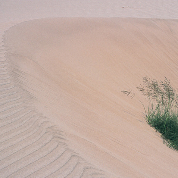Desierto de Cuapiaxtla
